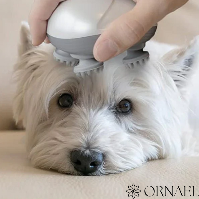 Massageador Para Pets - ORNAEL